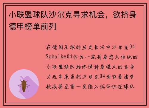 小联盟球队沙尔克寻求机会，欲挤身德甲榜单前列