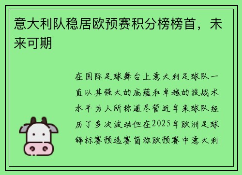 意大利队稳居欧预赛积分榜榜首，未来可期