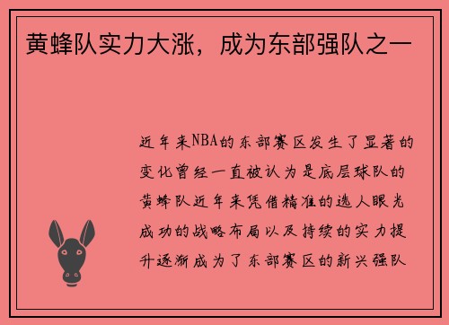 黄蜂队实力大涨，成为东部强队之一