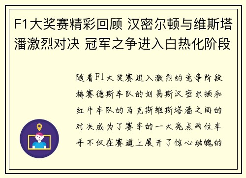 F1大奖赛精彩回顾 汉密尔顿与维斯塔潘激烈对决 冠军之争进入白热化阶段